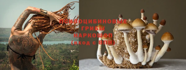 гашиш Абаза