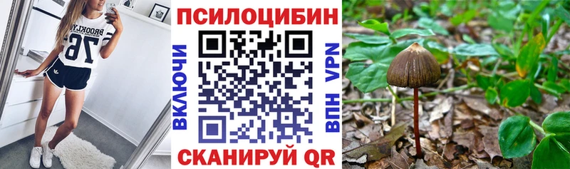 MEGA как войти  Алагир  Псилоцибиновые грибы Psilocybe 